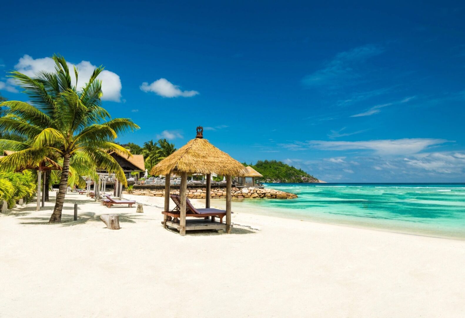 A beach with palm trees and an umbrella on the sand.